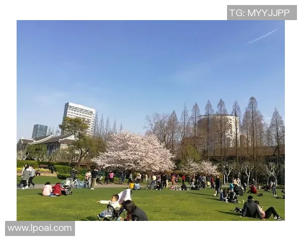 普吉岛足球明星的传奇故事与成就揭秘 普吉岛足球明星的传奇故事与成就揭秘