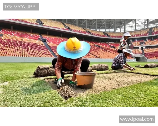 深入分析重庆足球队防反战术的特点与应用策略